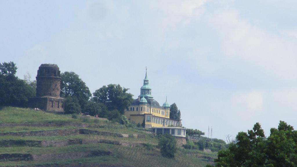 Hotel - Pension Villa Marie Radebeul Esterno foto